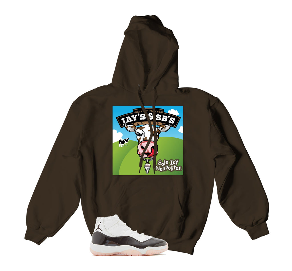 Retro 11 Neapolitan Jays & Sbs Hoody